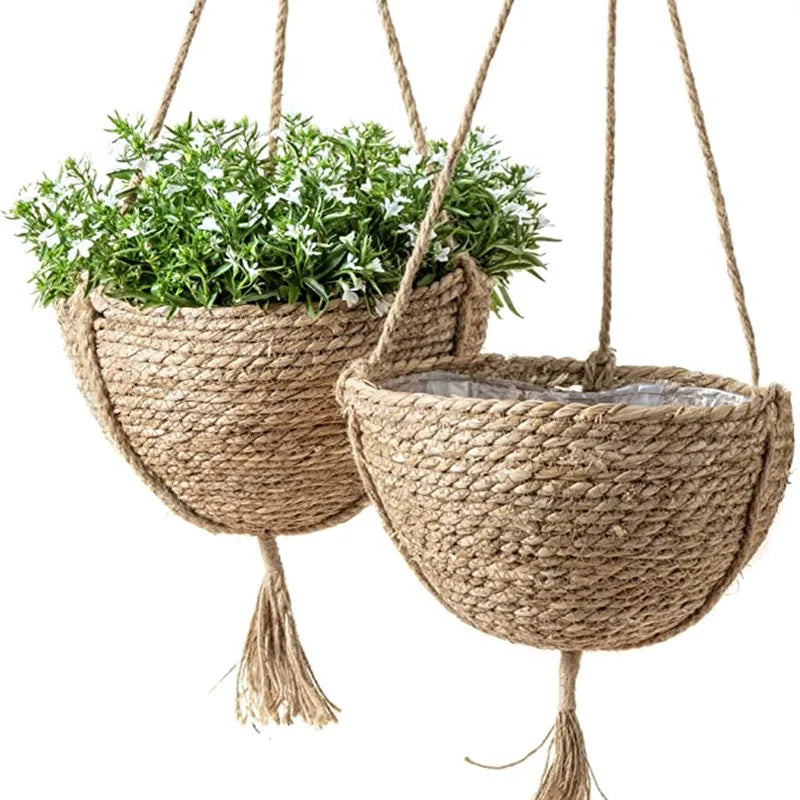 Suspensions pour plantes en zostère