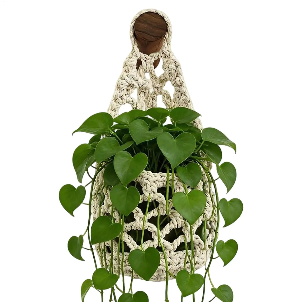 Suspension pour plantes en macramé
