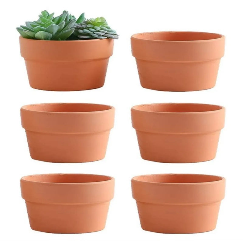 Petits pots en terre cuite (lot de 6)